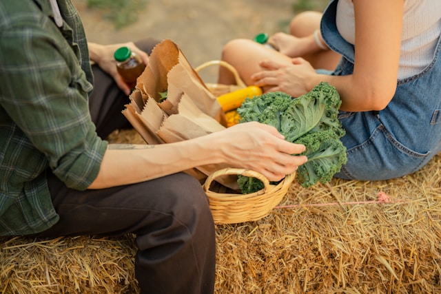 DSC tra teoria e pratica: incontro n. 17 – Agricoltura e CSA